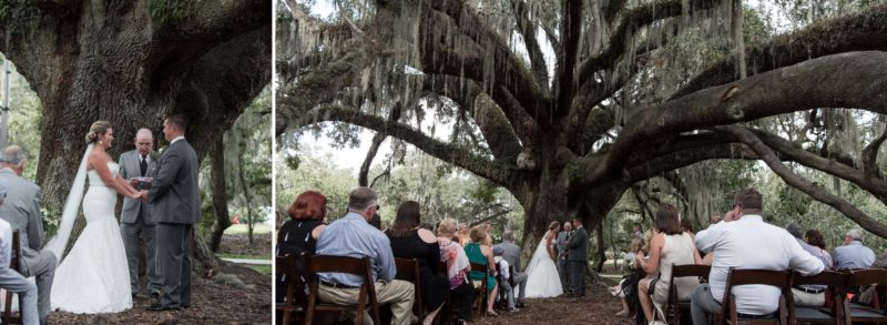 Mayor Tree Outdoor Wedding