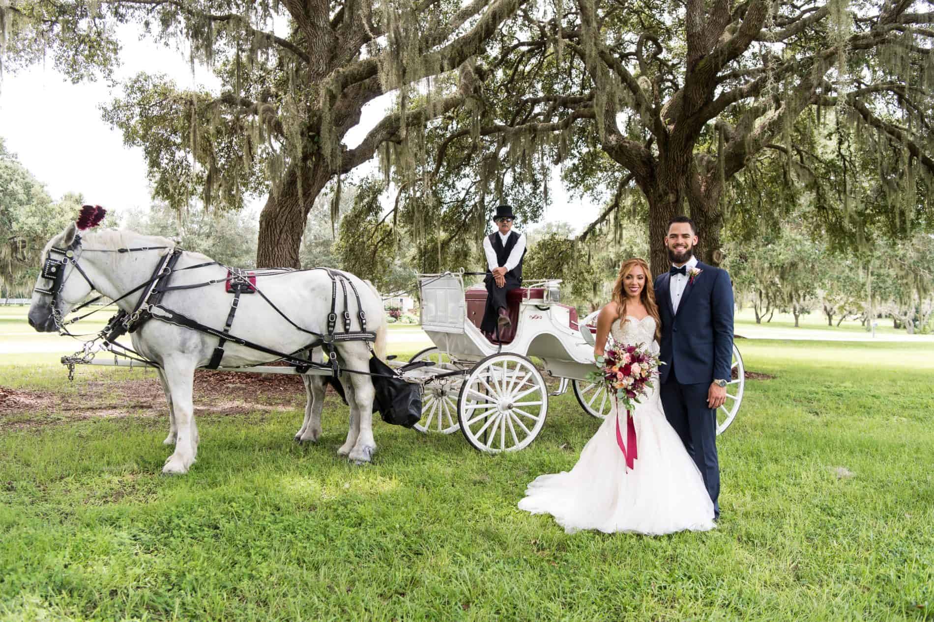 Wedding Honeyfunds can provide special touches like a horse drawn carriage